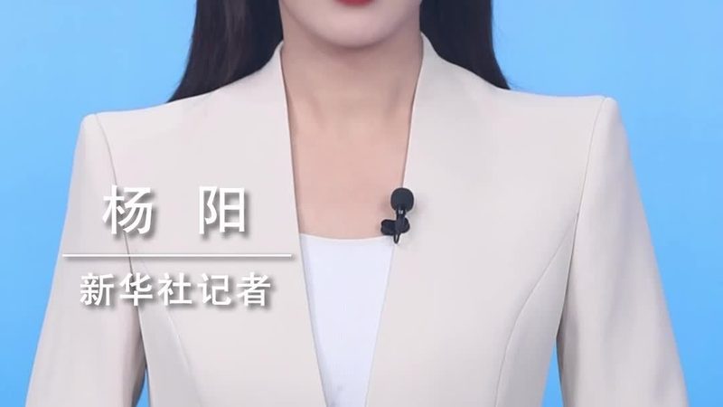 Java技术外包公司排名：揭秘行业选择之道